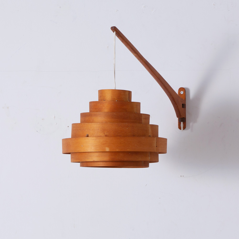 Pendant Light and Swiveling Wall Hanger in Wood