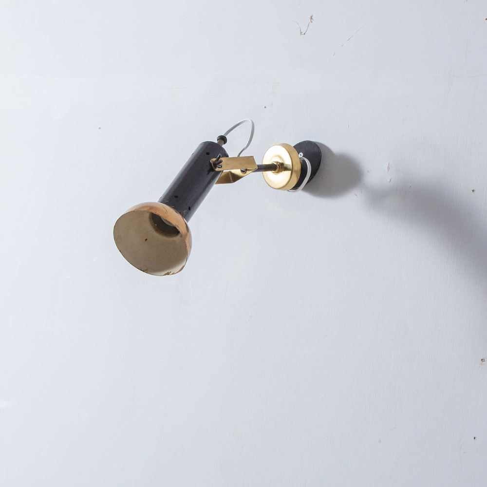 Adjustable Ceiling Light in Brass and Black