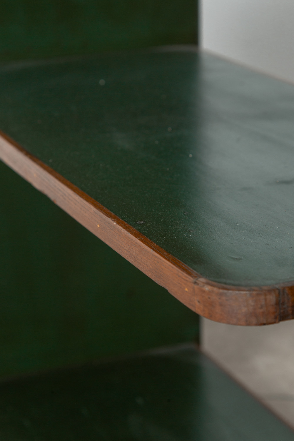 Book Self in Wood and Green