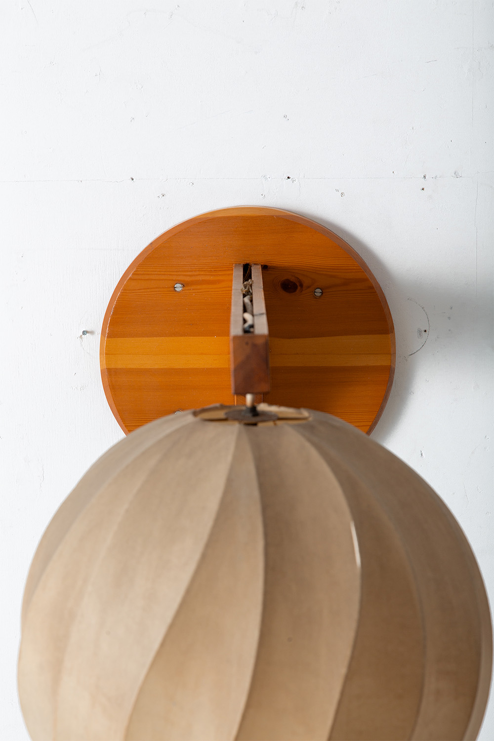 Cocoon Wall Lamp in Pine and Resin