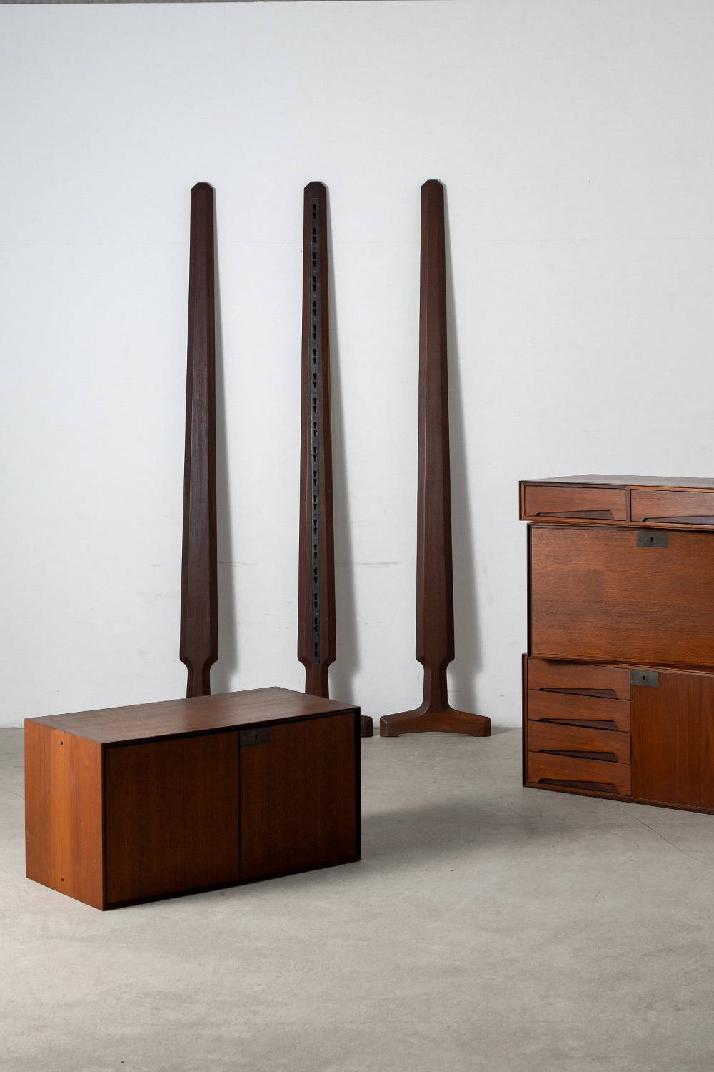 System Cabinet in Wood and Steel