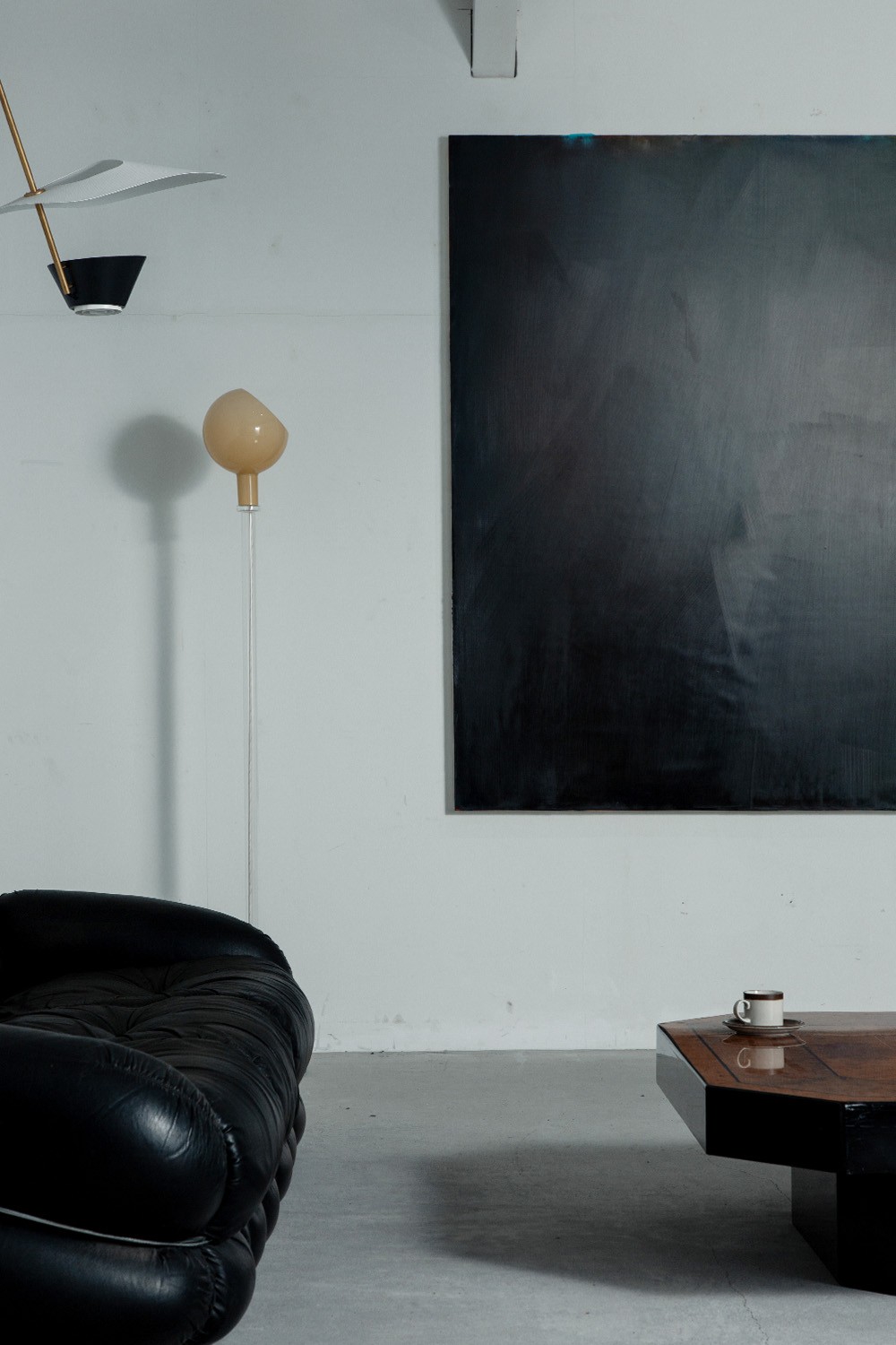 After Light, Before Shadow