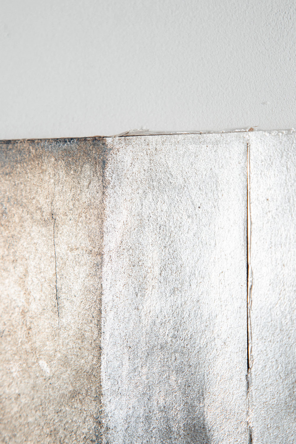 Quiet Presence 009-001-005 by Shuhei Fukuda