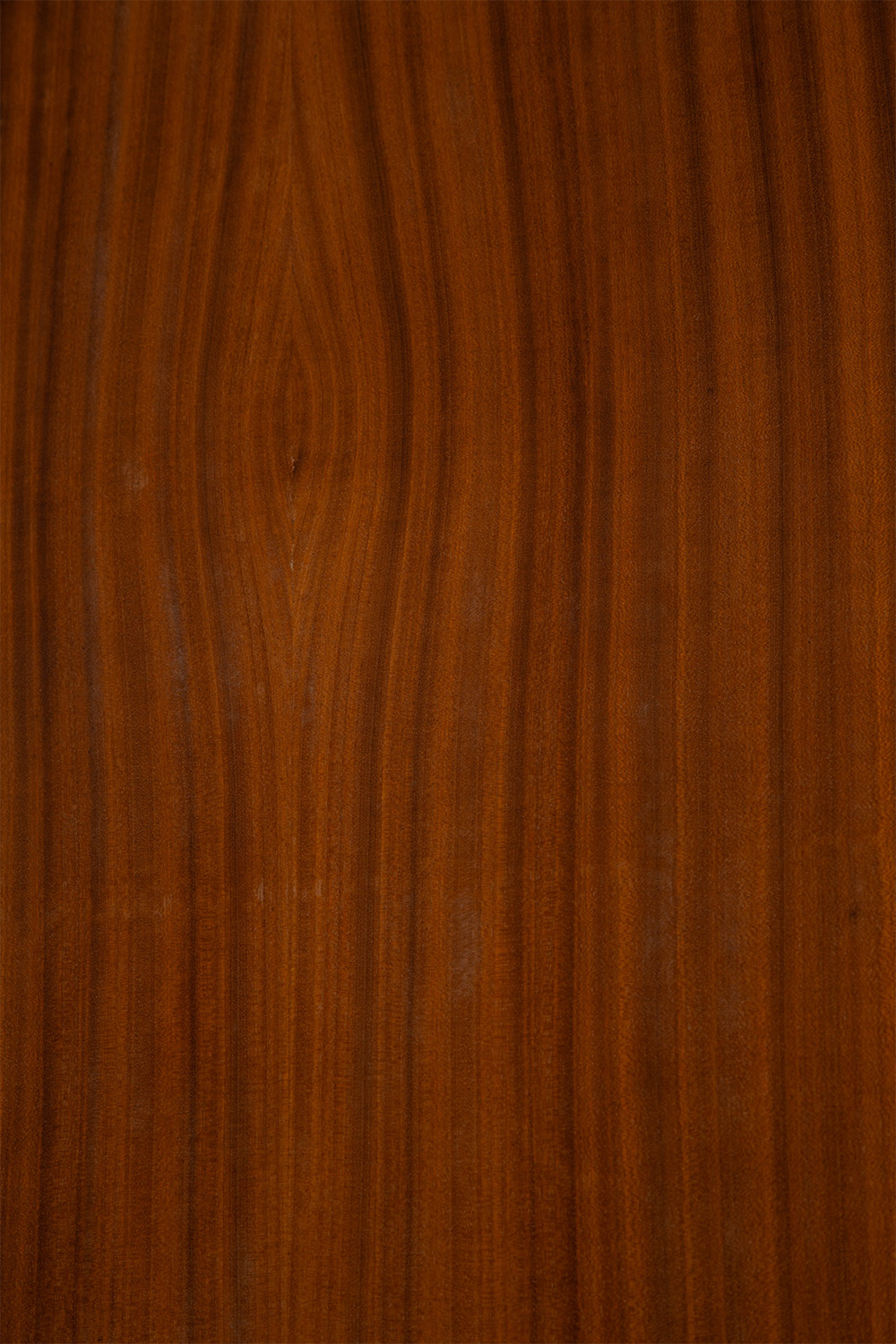 Wardrobe by Willy Van Der Meeren for Tubax in Metal and Wood