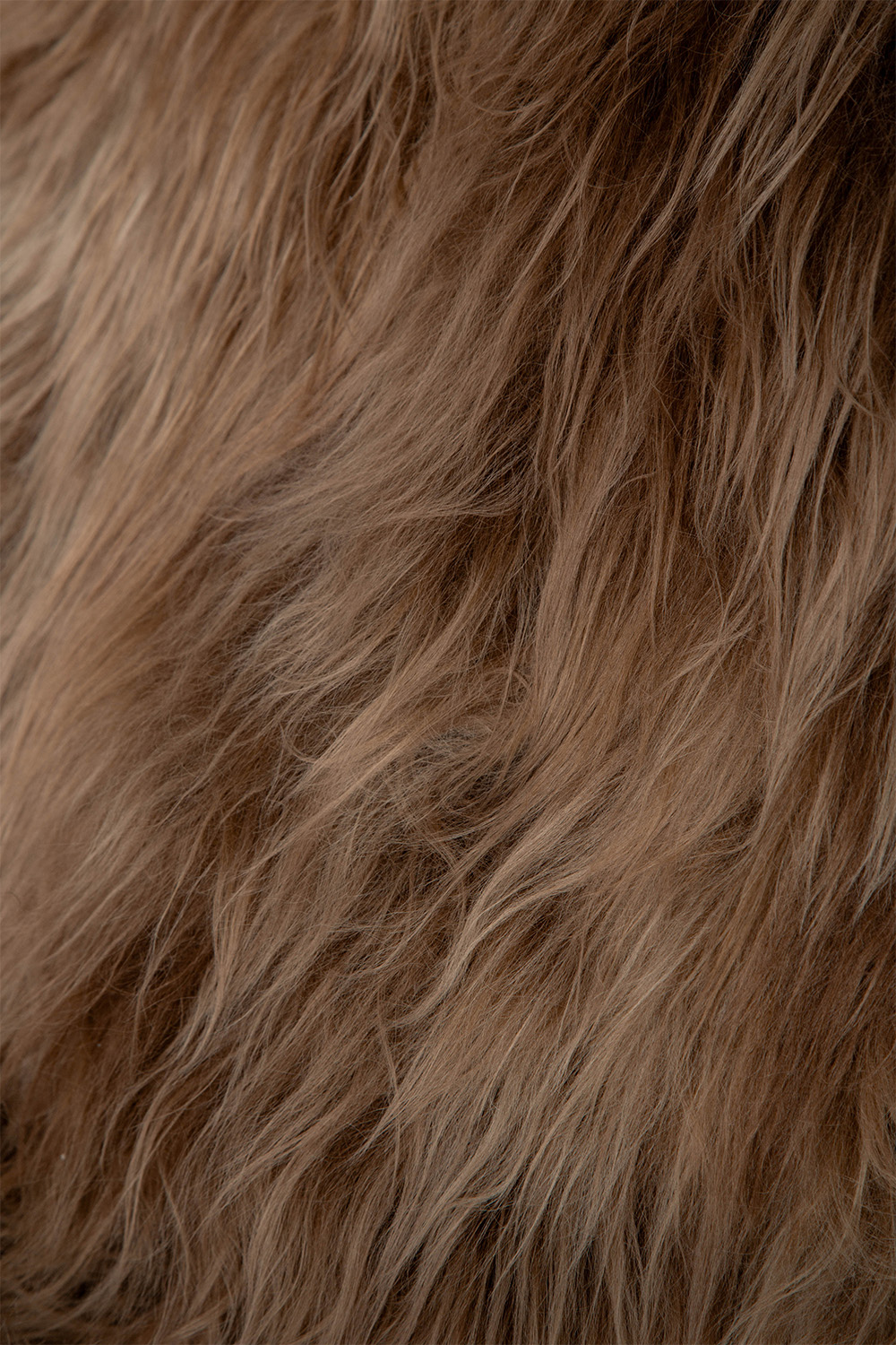 ‘H269’ Lounge Chair Set by Jindrich Halabala for UP Závody in Beech and Sheepskin