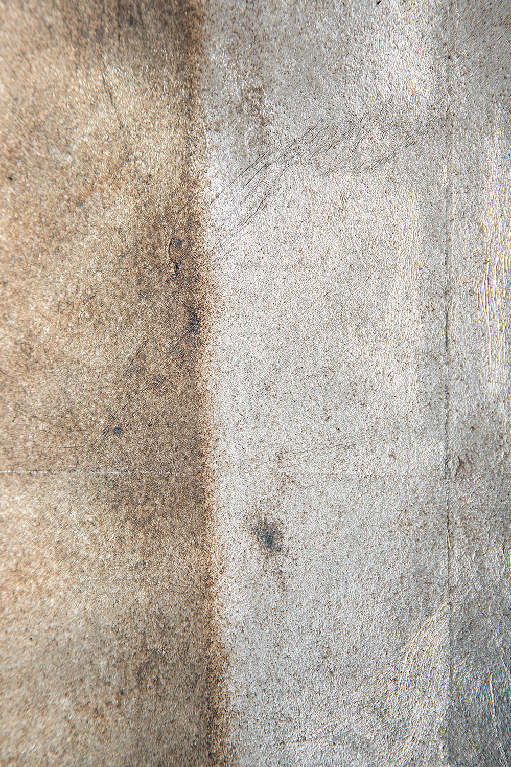 Quiet Presence 009-001-005 by Shuhei Fukuda