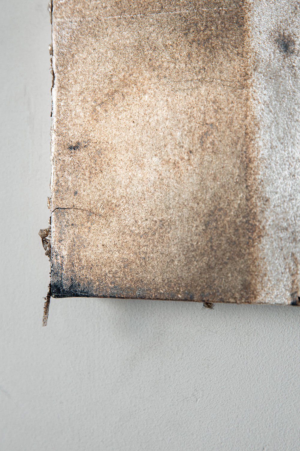 ↑Quiet Presence 009-004
