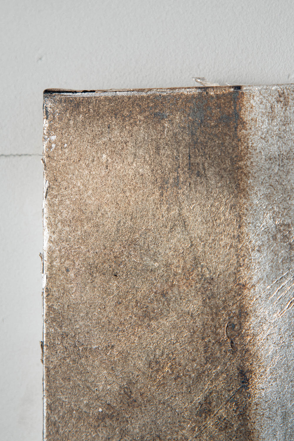 Quiet Presence 009-001-005 by Shuhei Fukuda