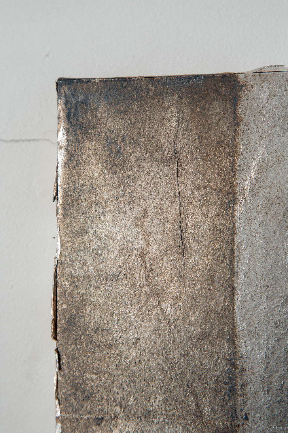 Quiet Presence 009-001-005 by Shuhei Fukuda