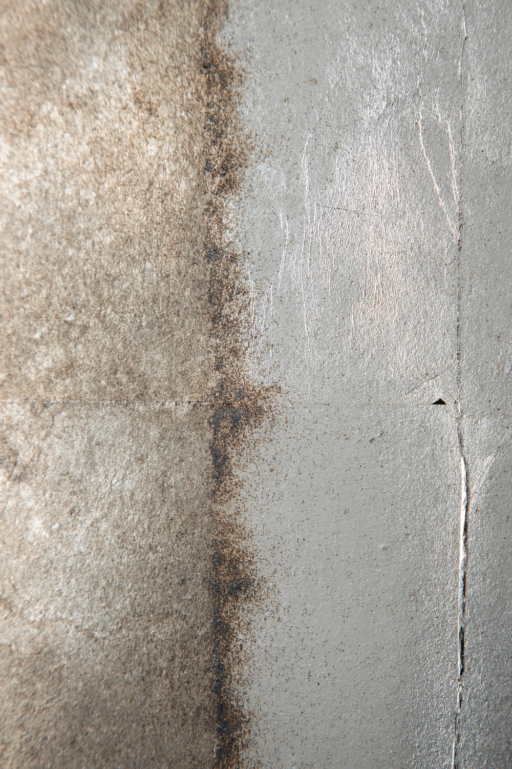 Quiet Presence 009-001-005 by Shuhei Fukuda