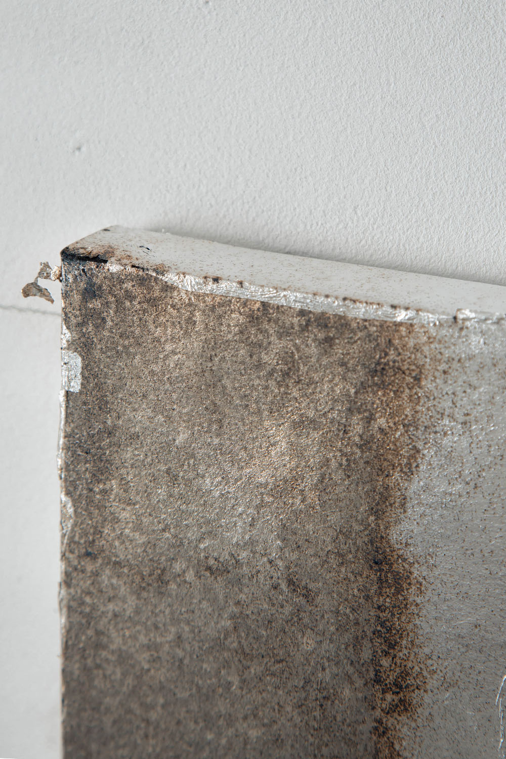 Quiet Presence 009-001-005 by Shuhei Fukuda