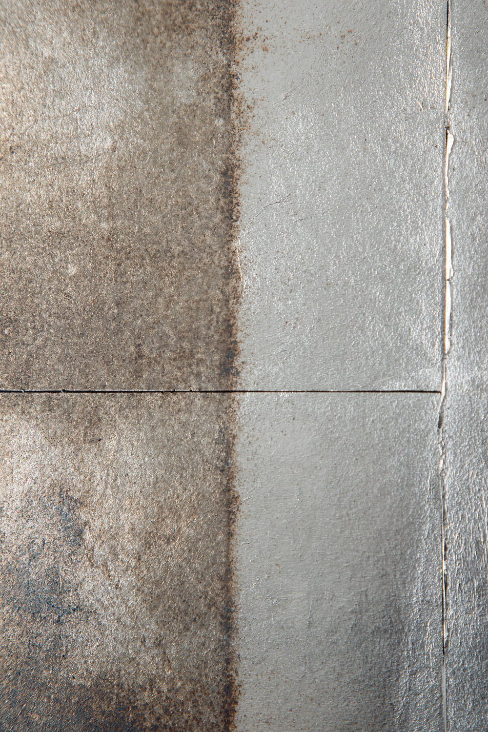 Quiet Presence 009-001-005 by Shuhei Fukuda