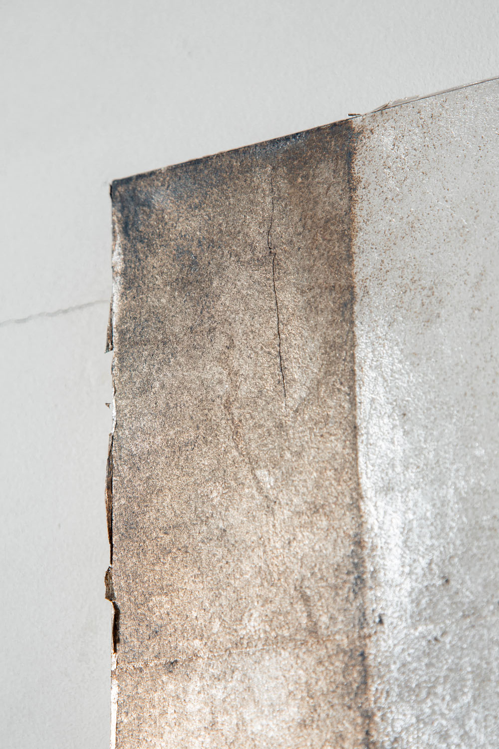 Quiet Presence 009-001-005 by Shuhei Fukuda