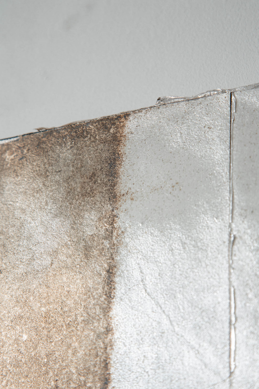 Quiet Presence 009-001 by Shuhei Fukuda