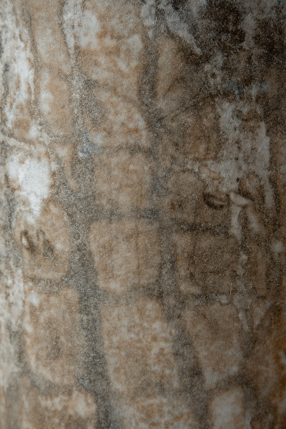 [Sculpture Drawing] 佇在 / Presence 003 by Shuhei Fukuda