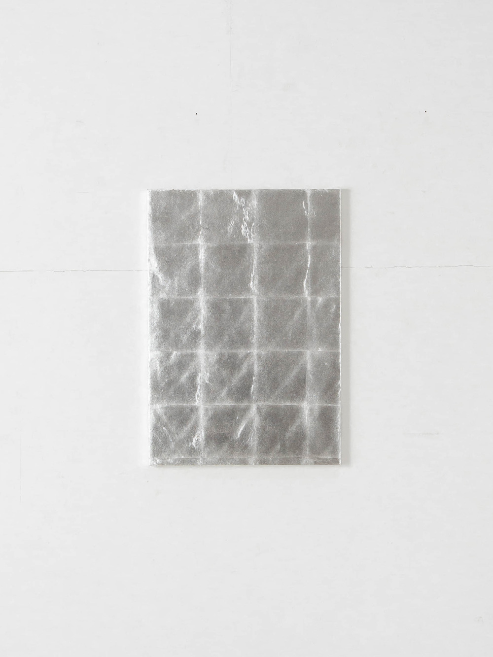 Quiet Presence 005-004 by Shuhei Fukuda