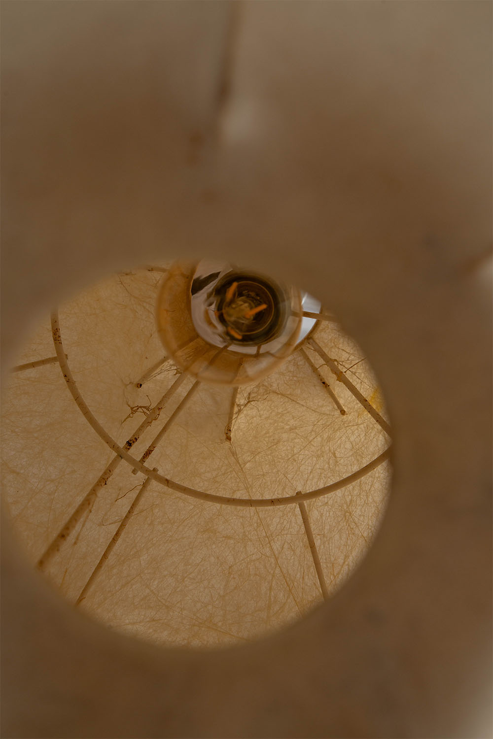 Viscontea Pendant Lamp,Viscontea,Pendant Lamp,ヴィスコンテア,ペンダントランプ,Achille & Pier Giacomo Castiglioni,アキッレ＆ピエル・ジャコモ・カスティリオーニ,Flos,フロス,Cocoon,コクーン,Italy,イタリア,清澄白河,Antique,Vintage,Interior Design,stoop,topso,アンティーク,ビンテージ,ヴィンテージ,家具,雑貨,インテリア,店舗什器,設計,インテリアデザイン,内装,什器,店舗設計,ギャラリー,デザイナーズ家具,ショールーム