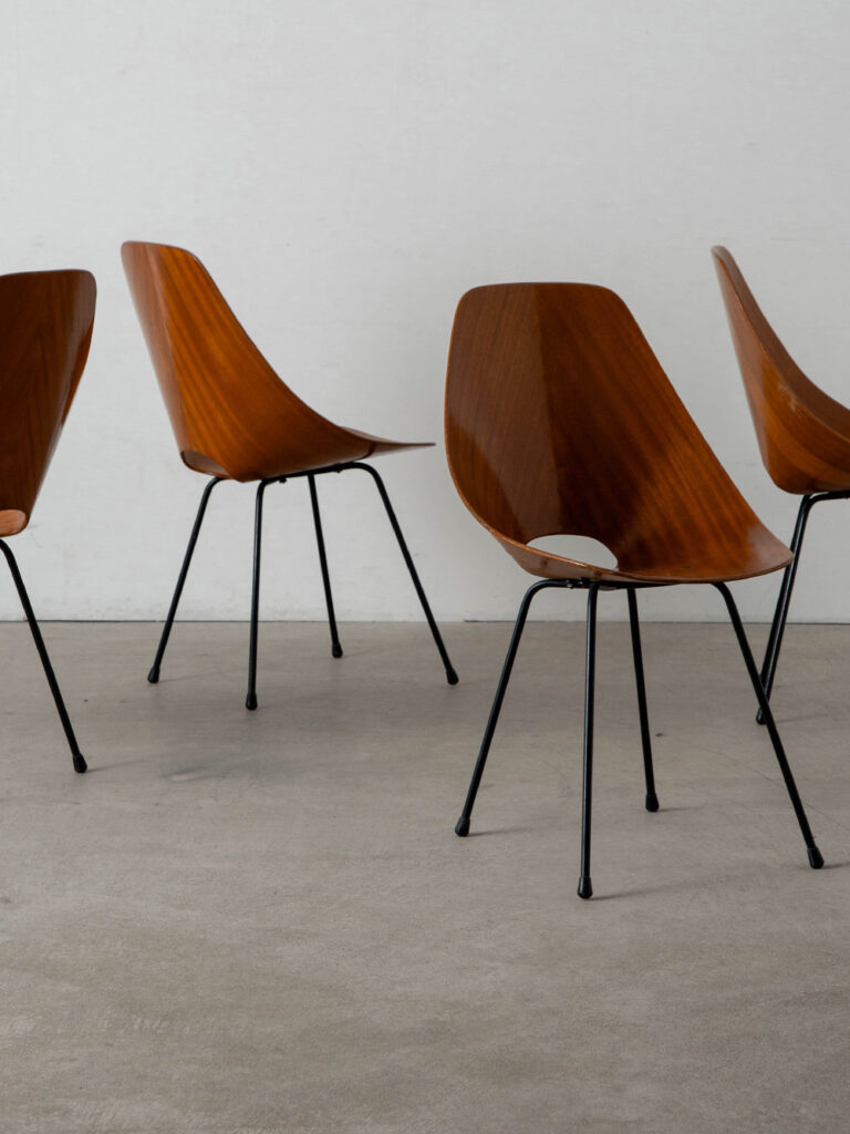 Medea Chair by Vittorio Nobili for Tagliabue F.lli in Plywood and Steel