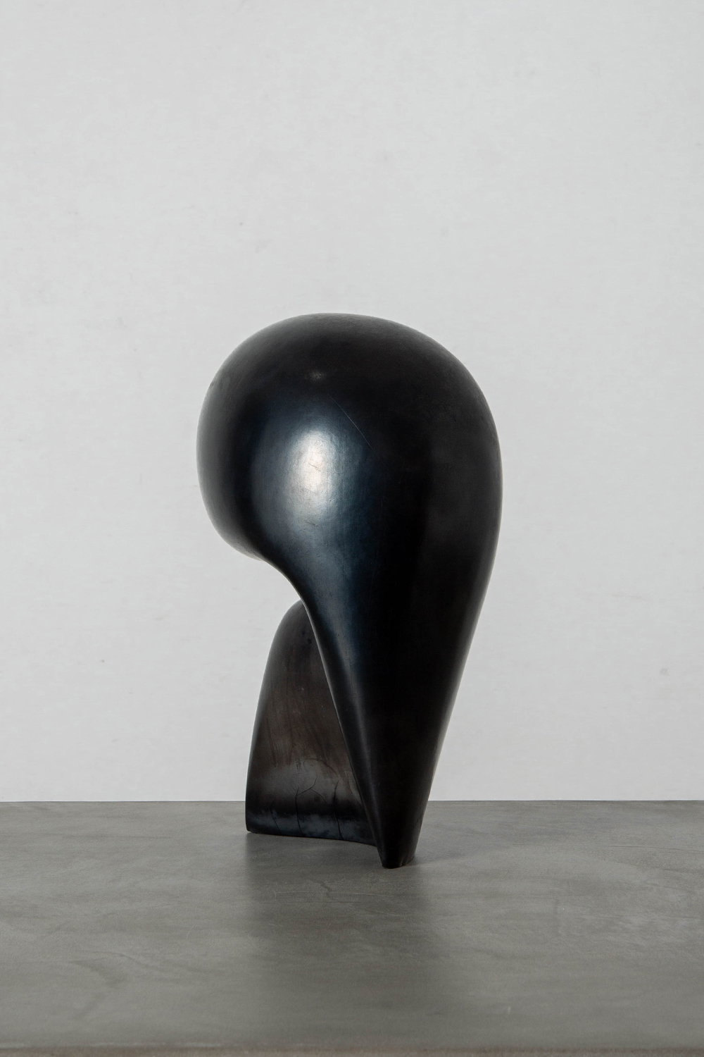 trace Untitled by Shiho Hayashi