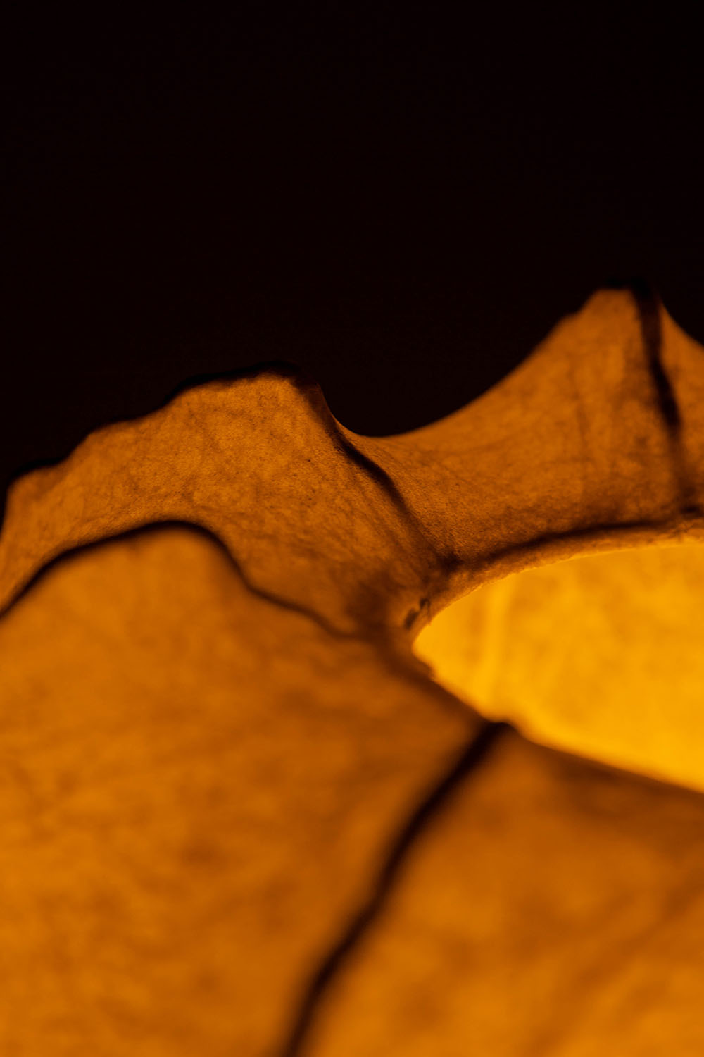 Cocoon Floor Lamp in Resin and Steel