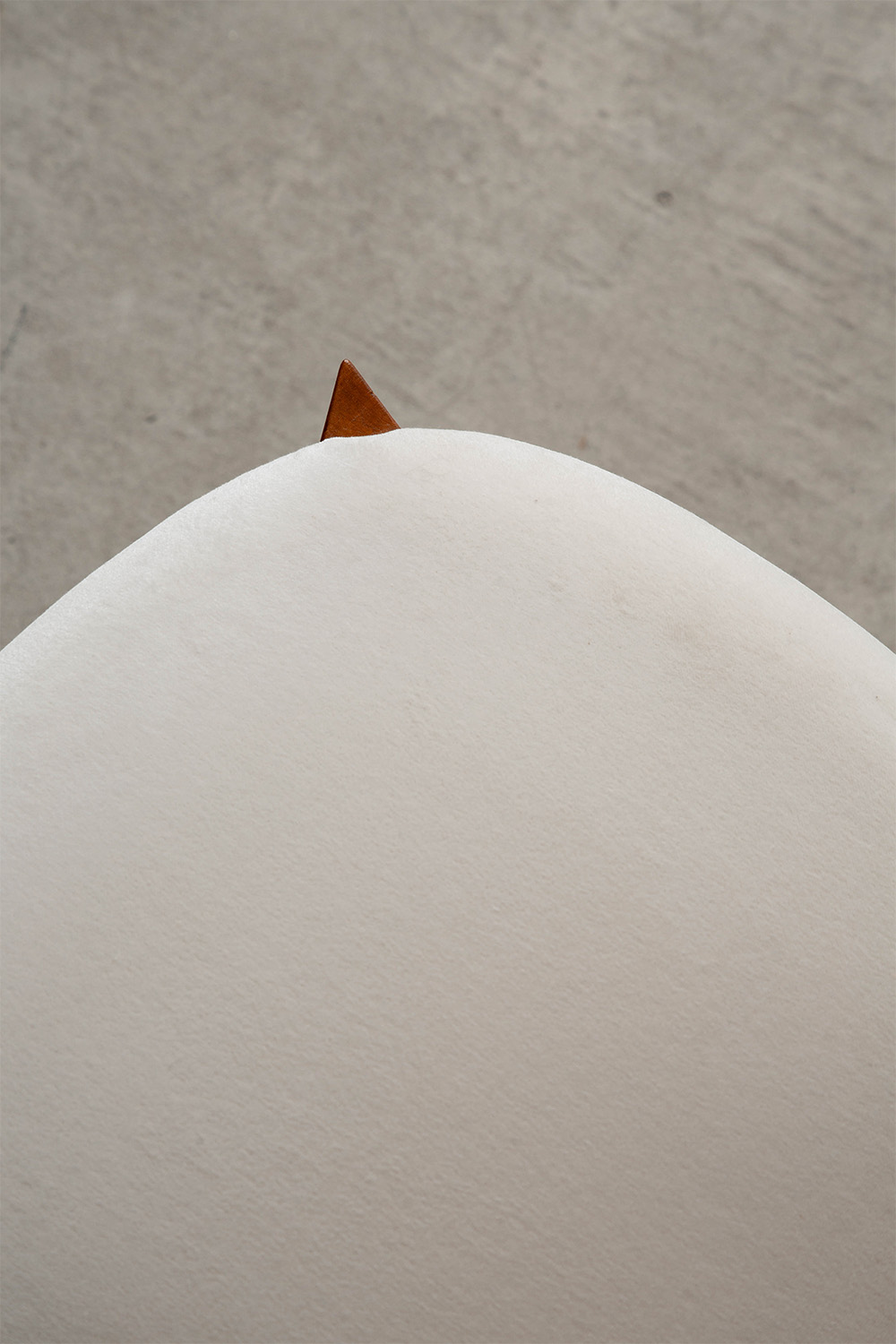 969 Chair by Gio Ponti for Montina in Wood and Fabric