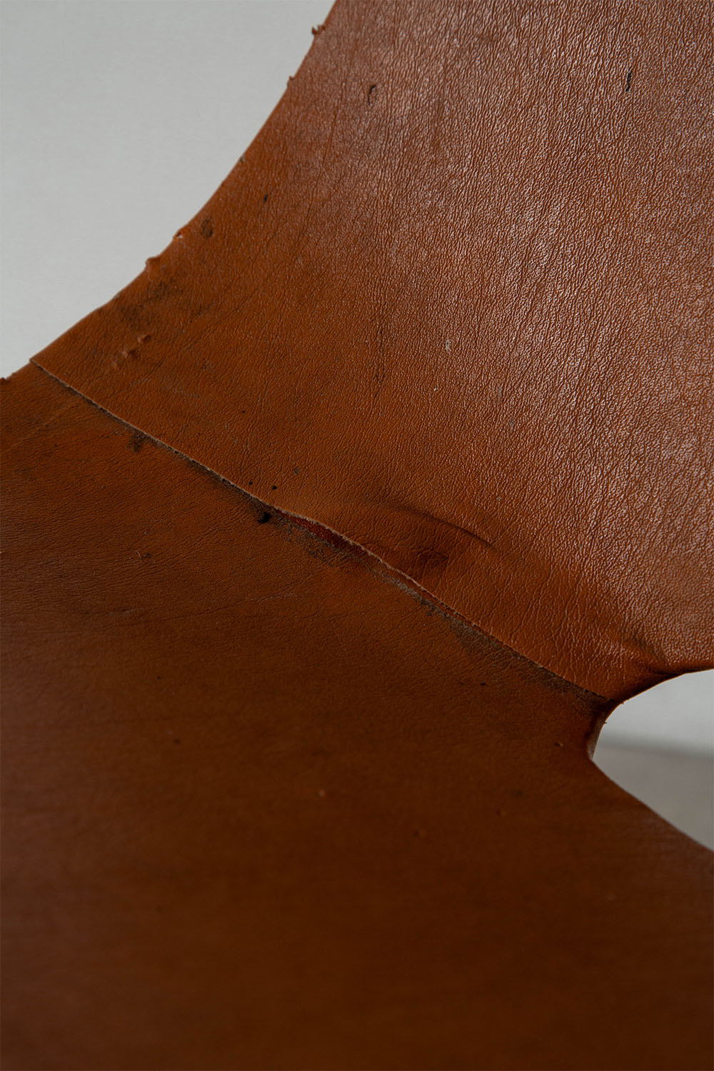 Amsterdam Chair by Pierre Guariche for Stainer in Leather and Steel