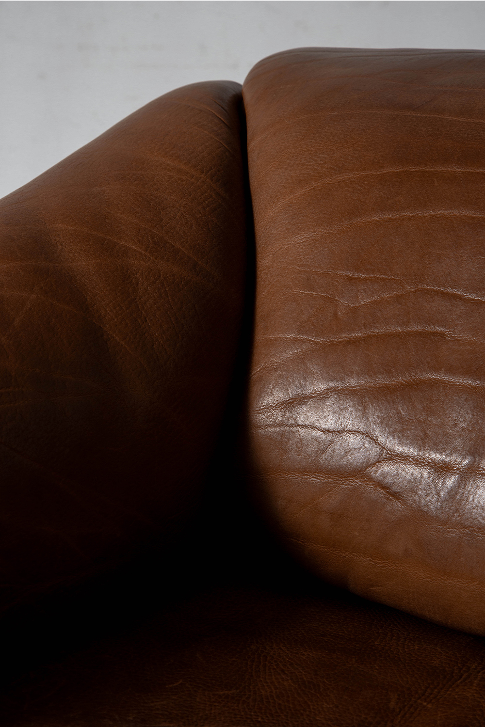DS-47 Lounge Chair for de Sede in Leather
