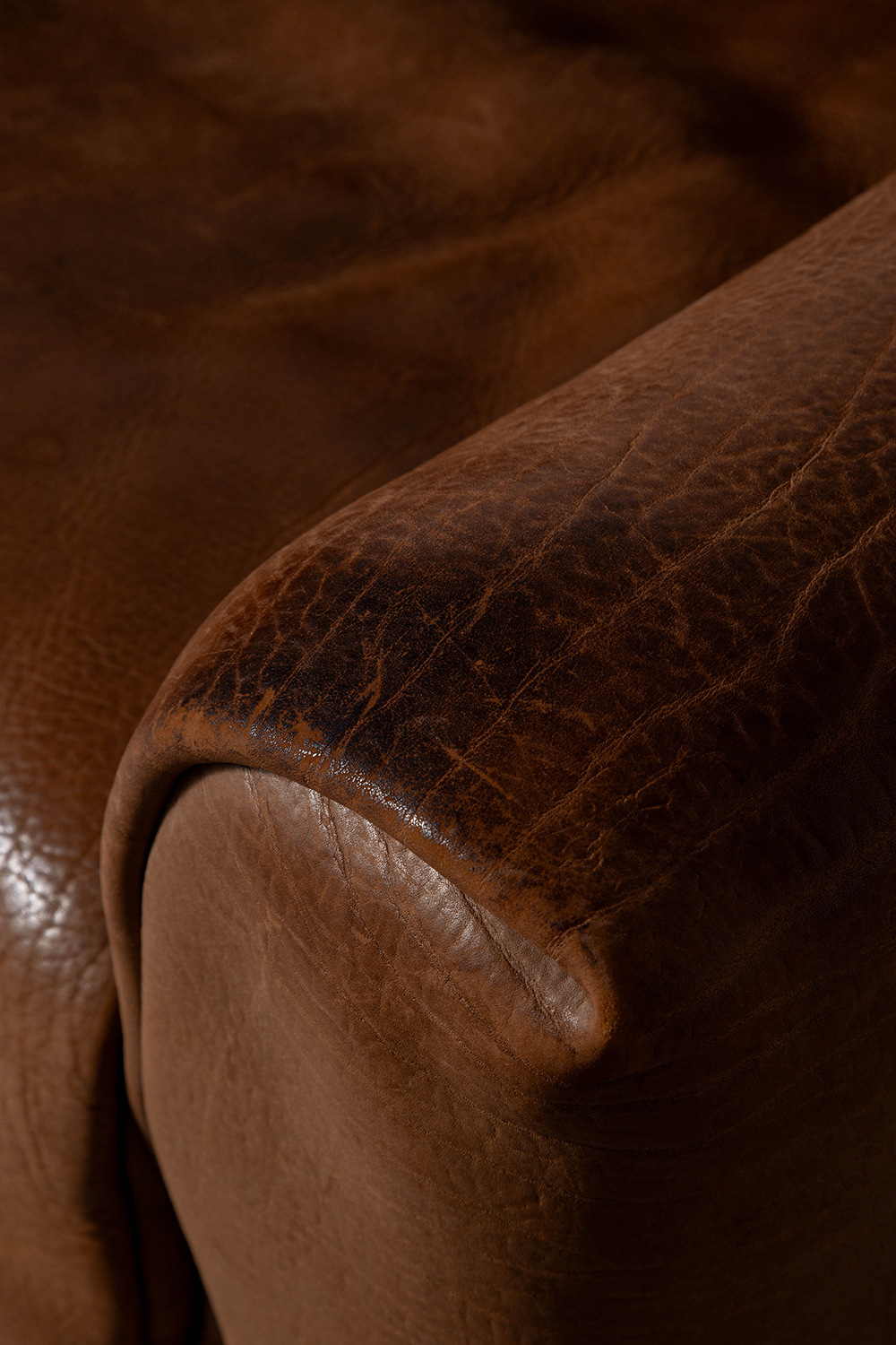 DS-47 Lounge Chair for de Sede in Leather