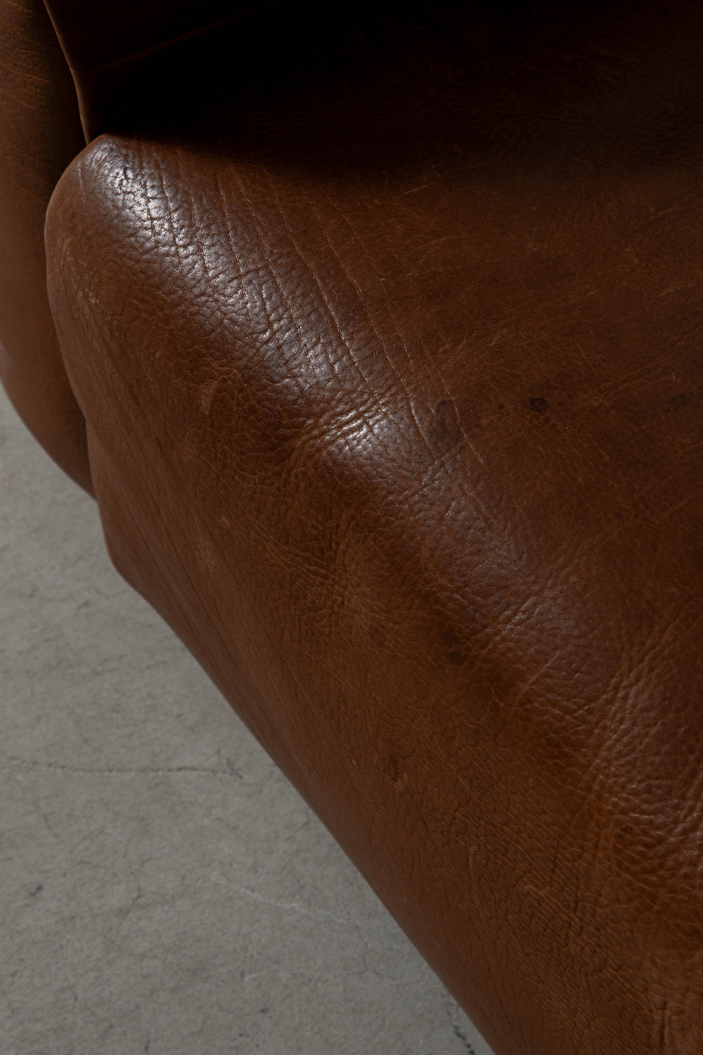 DS-47 Lounge Chair for de Sede in Leather