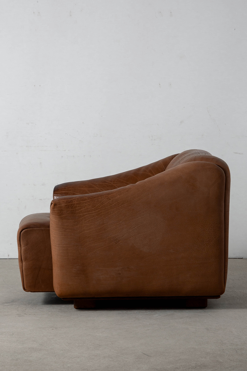 DS-47 Lounge Chair for de Sede in Leather