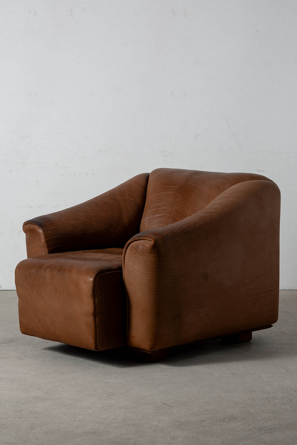 DS-47 Lounge Chair for de Sede in Leather