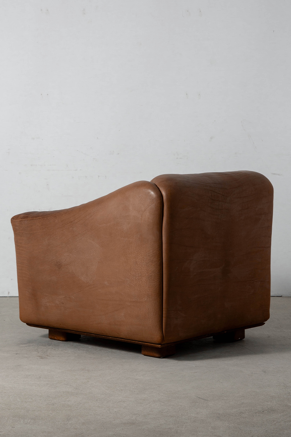 DS-47 Lounge Chair for de Sede in Leather