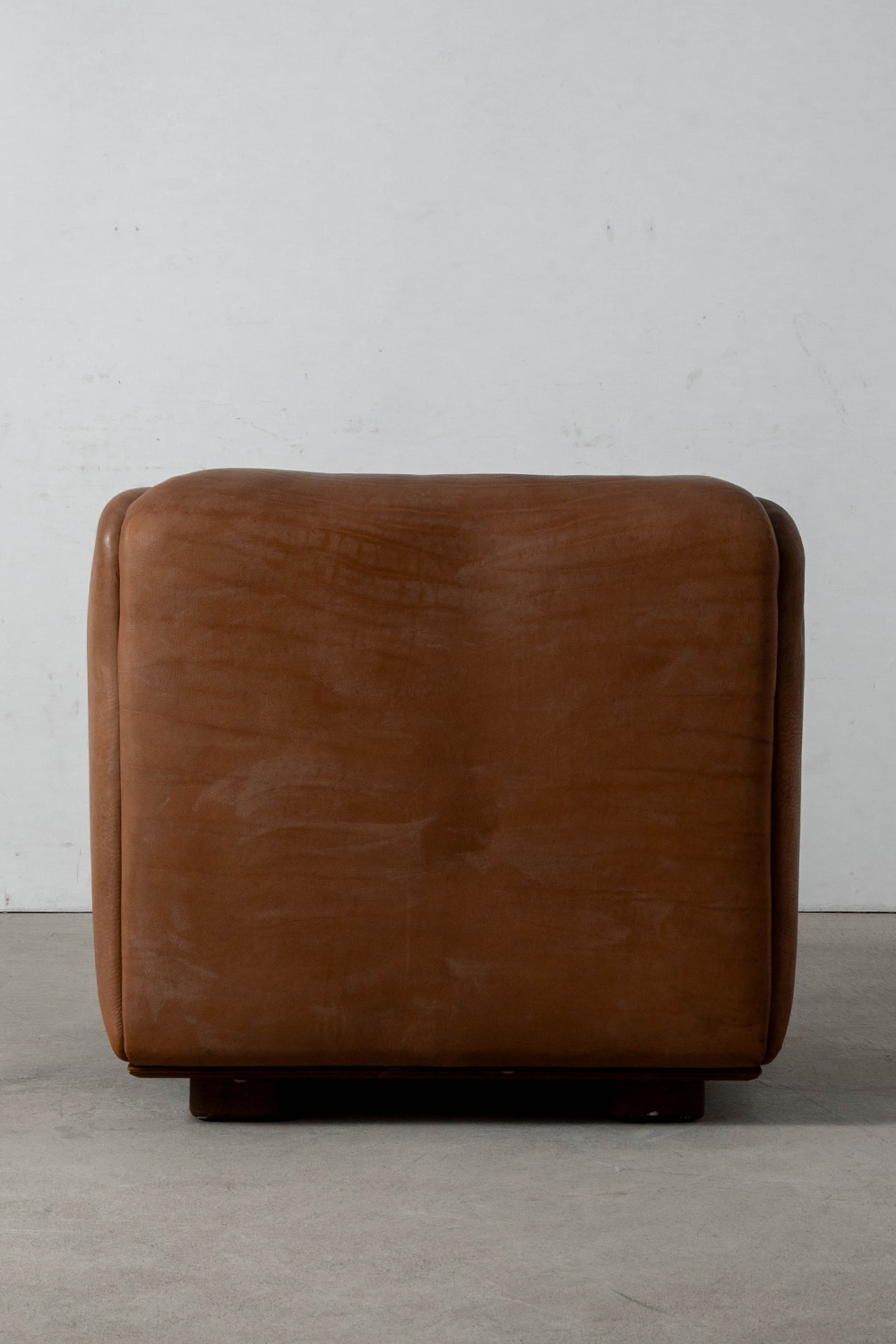 DS-47 Lounge Chair for de Sede in Leather