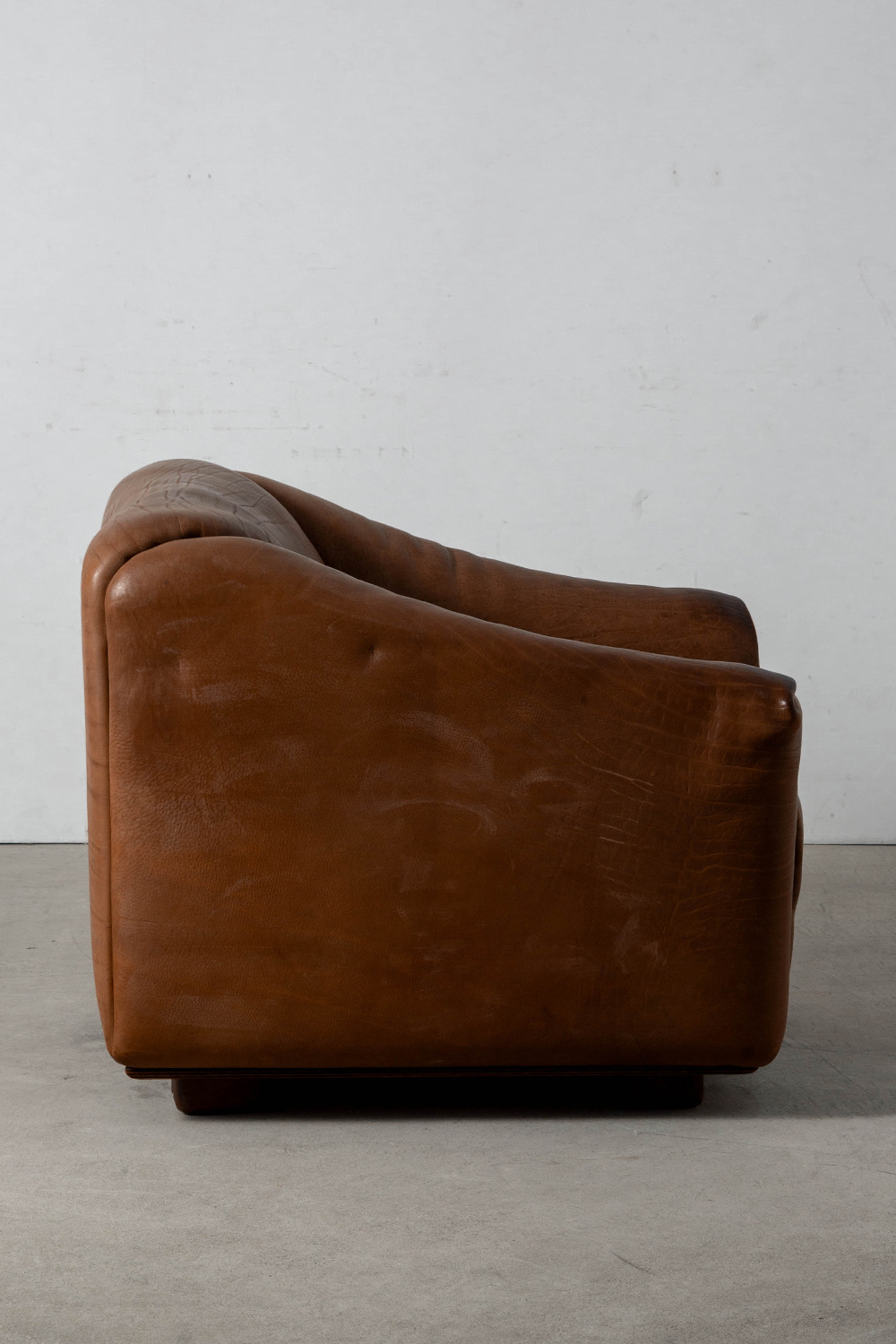 DS-47 Lounge Chair for de Sede in Leather