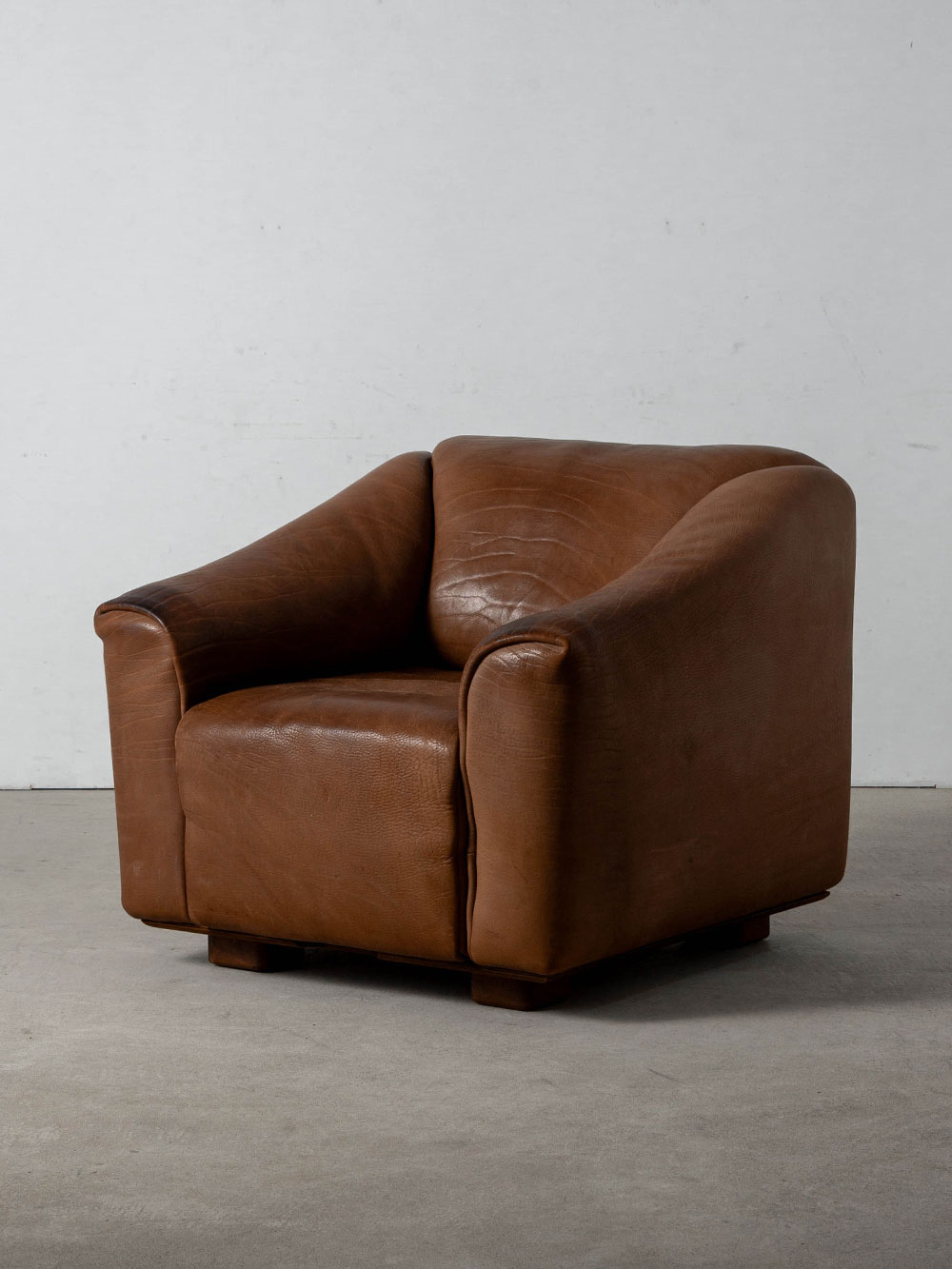 DS-47 Lounge Chair for de Sede in Leather