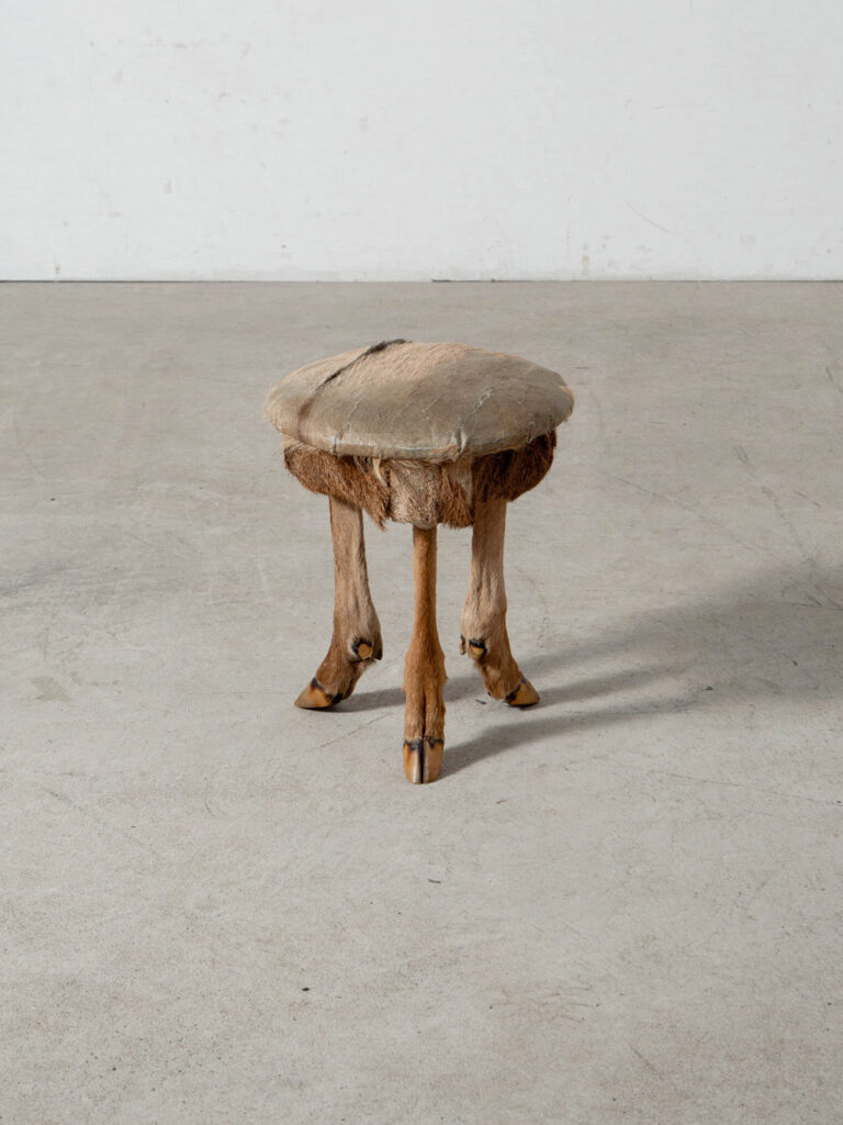 Primitive Stool in Deer Hide , Deer Leg and Wood