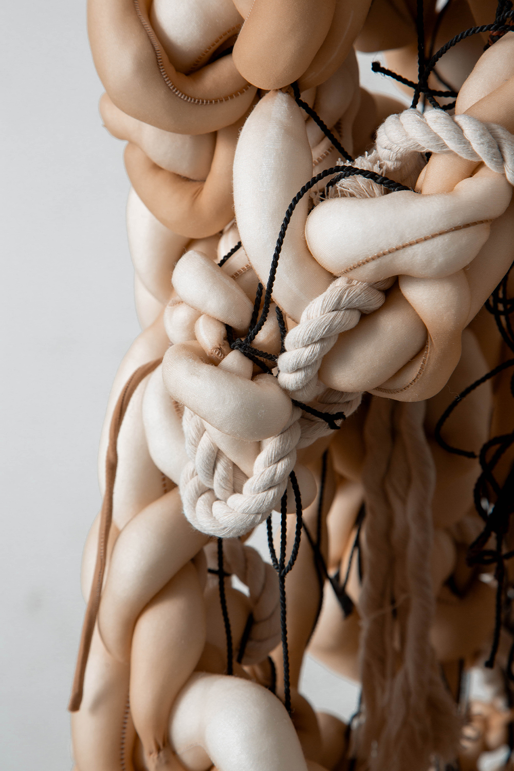 Components : A Piece of Us