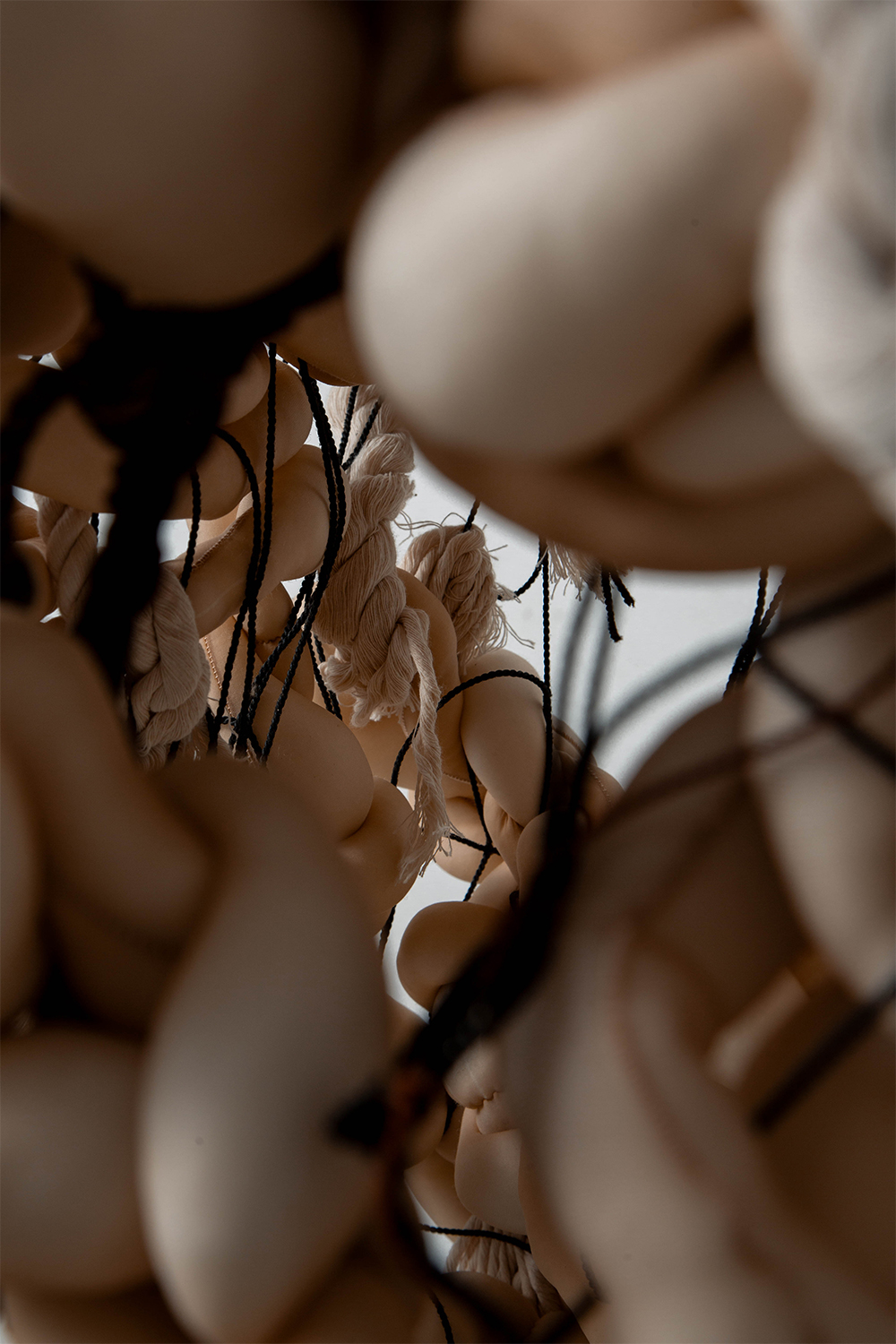 Components : A Piece of Us