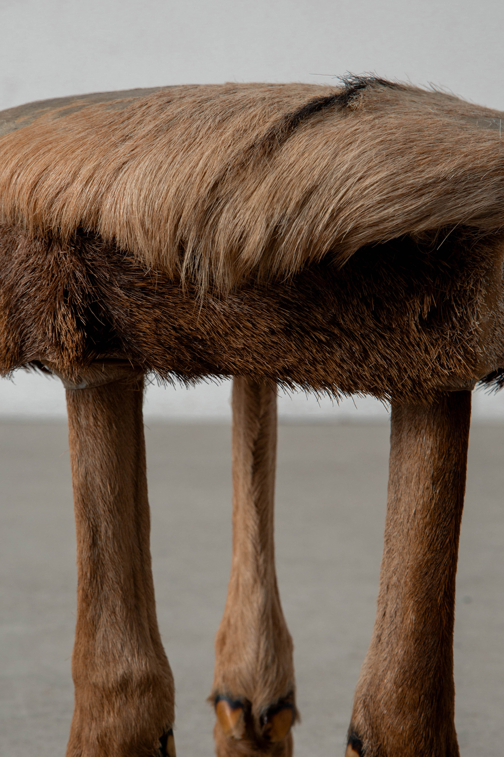 Primitive Stool,プリミティブ スツール,スツール,France,フランス,清澄白河,Antique,Vintage,Interior Design,stoop,topso,アンティーク,ビンテージ,ヴィンテージ,家具,雑貨,インテリア,店舗什器,設計,インテリアデザイン,内装,什器,店舗設計,ギャラリー,デザイナーズ家具,ショールーム