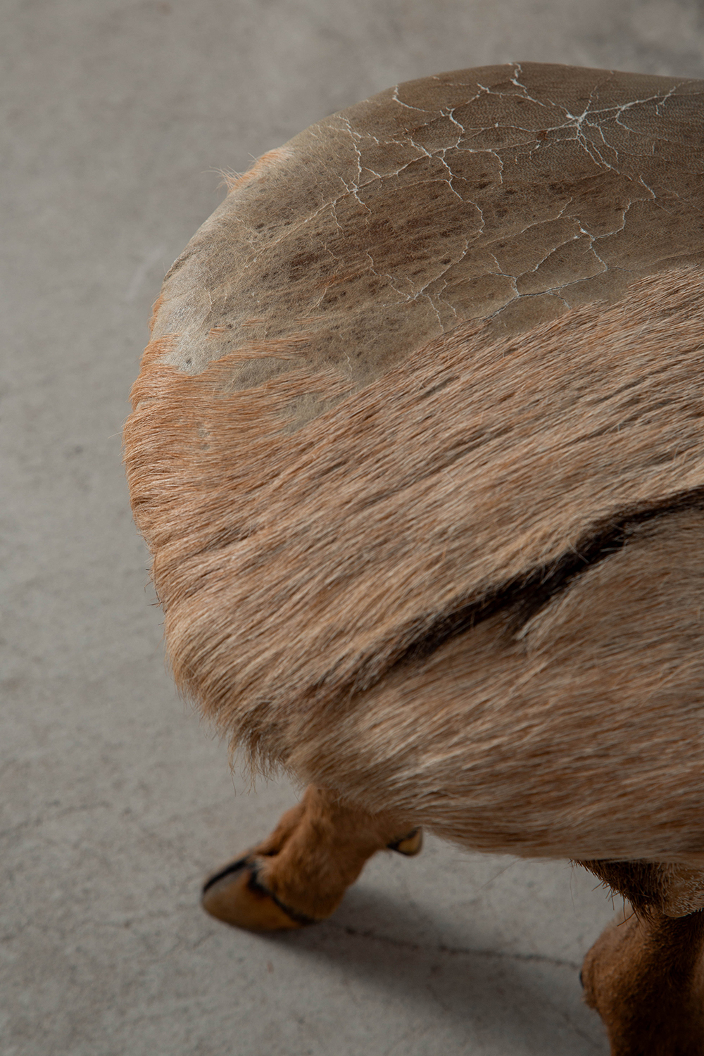 Primitive Stool,プリミティブ スツール,スツール,France,フランス,清澄白河,Antique,Vintage,Interior Design,stoop,topso,アンティーク,ビンテージ,ヴィンテージ,家具,雑貨,インテリア,店舗什器,設計,インテリアデザイン,内装,什器,店舗設計,ギャラリー,デザイナーズ家具,ショールーム