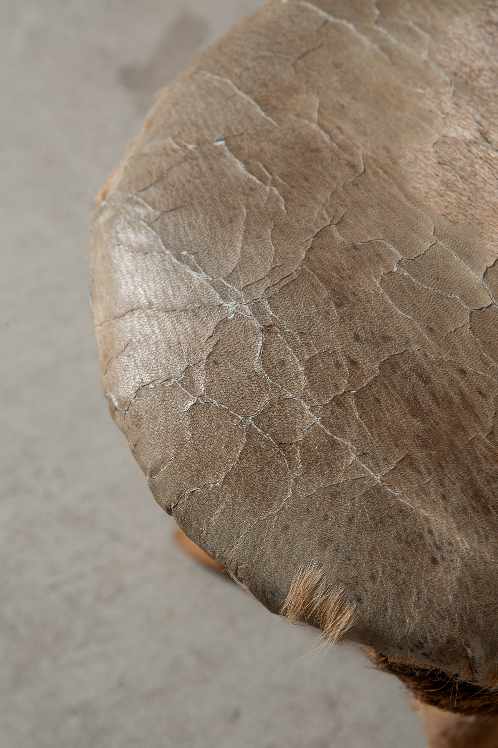 Primitive Stool,プリミティブ スツール,スツール,France,フランス,清澄白河,Antique,Vintage,Interior Design,stoop,topso,アンティーク,ビンテージ,ヴィンテージ,家具,雑貨,インテリア,店舗什器,設計,インテリアデザイン,内装,什器,店舗設計,ギャラリー,デザイナーズ家具,ショールーム