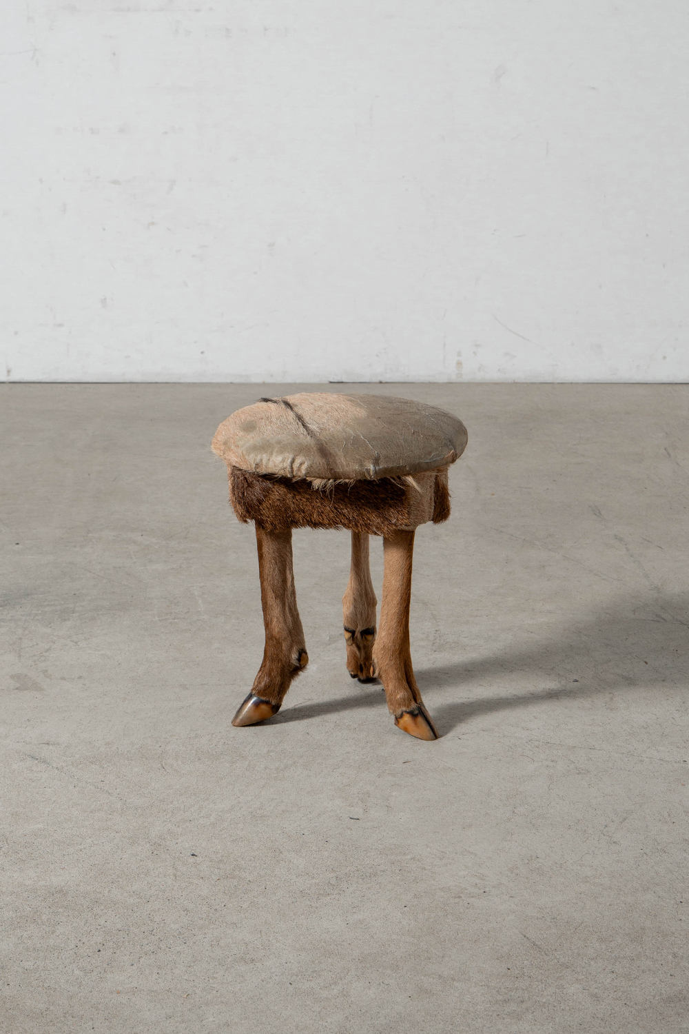 Primitive Stool,プリミティブ スツール,スツール,France,フランス,清澄白河,Antique,Vintage,Interior Design,stoop,topso,アンティーク,ビンテージ,ヴィンテージ,家具,雑貨,インテリア,店舗什器,設計,インテリアデザイン,内装,什器,店舗設計,ギャラリー,デザイナーズ家具,ショールーム
