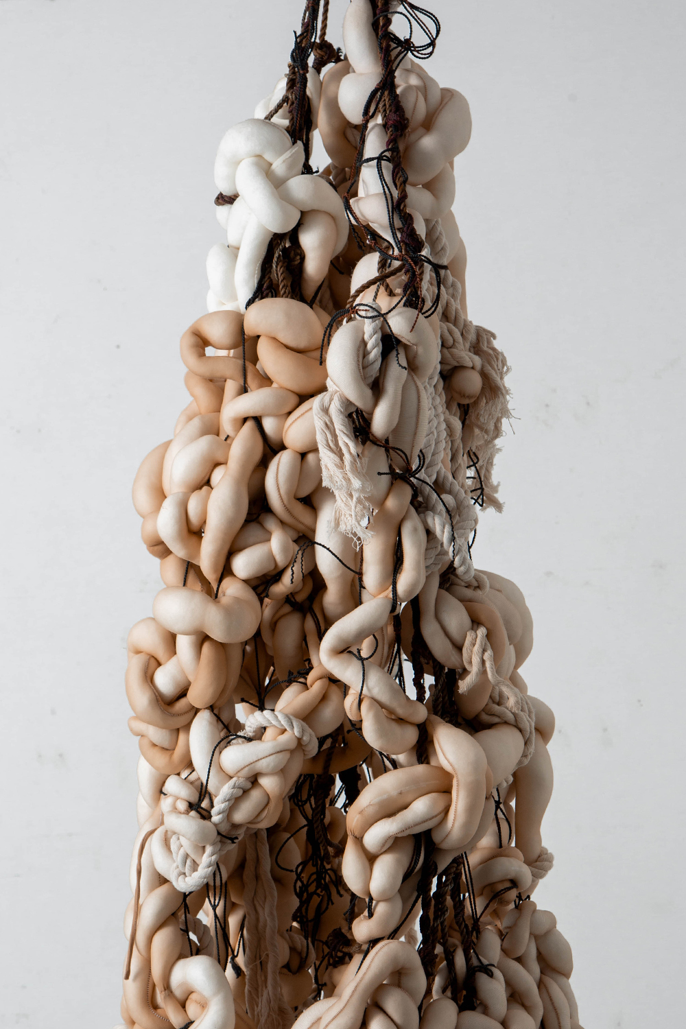 Components : A Piece of Us